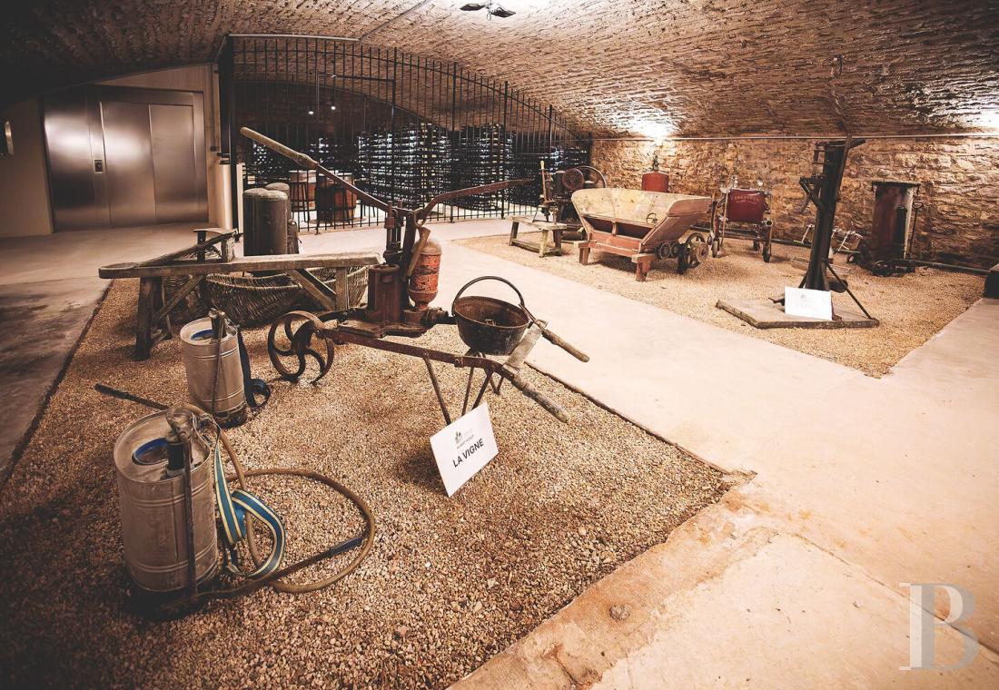 En Bourgogne, à Beaune, un château de la Belle Époque au milieu de ses huit hectares de vignes - photo  n°43